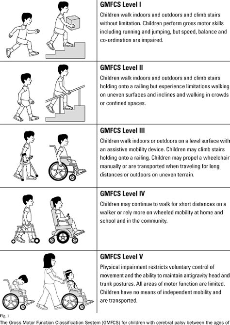 Hip displacement in cerebral palsy. | Semantic Scholar