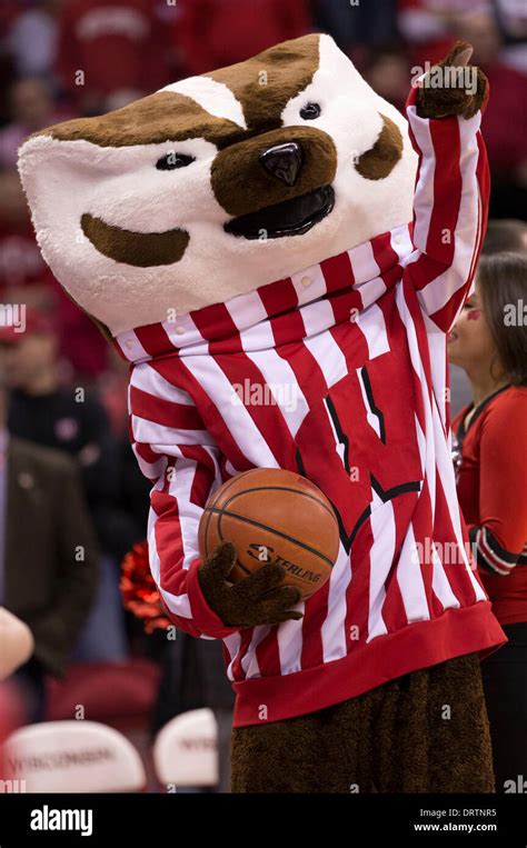 Wisconsin badgers mascot bucky badger hi-res stock photography and ...