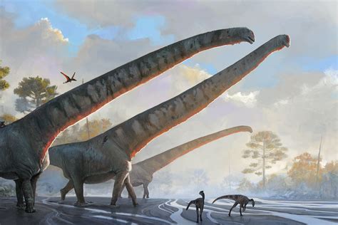 Scientists identify dinosaur with the longest neck ever seen in an animal | The Independent