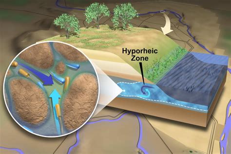 Columbia River Hyporheic Zone Tackles Contaminants, Greenhouse Gases - Environmental Monitor