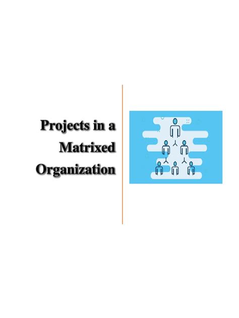 Project in A Matrixed Organization | PDF | Organizational Structure ...