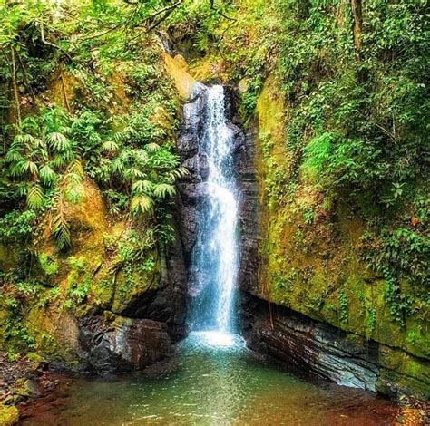 Falling Edge Waterfalls | Prips Jamaica