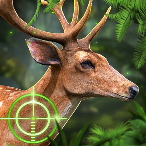 About: Deer Hunting: Sniper Shooting (Google Play version) | | Apptopia