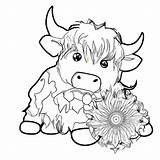 30 Cow Coloring Pages Free PDF Printables sketch template