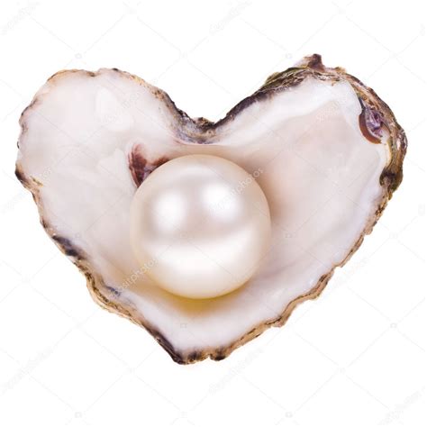 Big pearl in an oyster shell — Stock Photo © vanazi #27607221