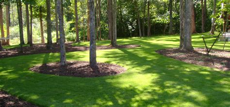 Want To Know Which Type of Grass Is Best For Shade, Sun, Drought & Dogs?