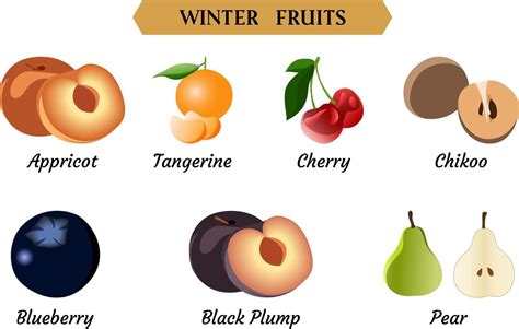 Winter Fruits Vector Illustration, Simple Fruits vector illustration ...