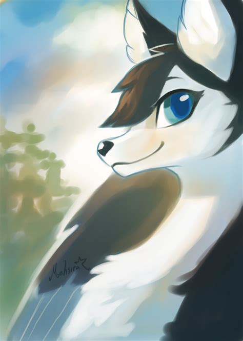 Husky by Mahsira on DeviantArt