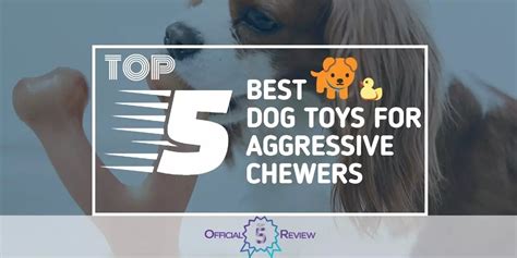 Dog Toys For Aggressive Chewers Review: Help Make Your Dog Happy