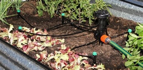 7 Best Irrigation and Water Systems in Australia for 2025