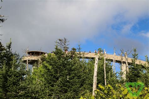 Clingmans Dome - Wesley Adventures