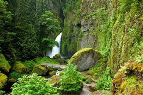 16 of the Best Oregon Hiking Trails for a Lifetime of Adventures ...