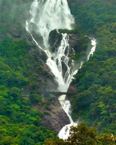 Dudhsagar Waterfalls Trip in Goa - Biggest Waterfall in India | Waterfall, Trip, Goa