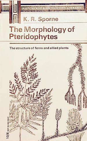 The Morphology of Pteridophytes: the structure of ferns and allied plants by Sporne, K.R.: V.g ...