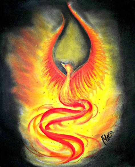 Fire Phoenix Drawing by Madelyn Mershon - Fine Art America