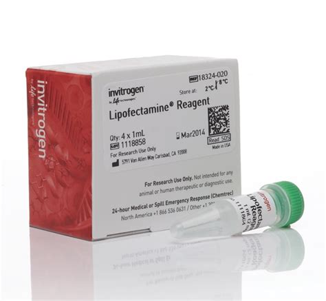 Lipofectamine Transfection Reagent - Thermo Fisher Scientific