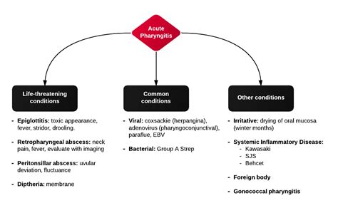 Differential Diagnosis of Sore Throat