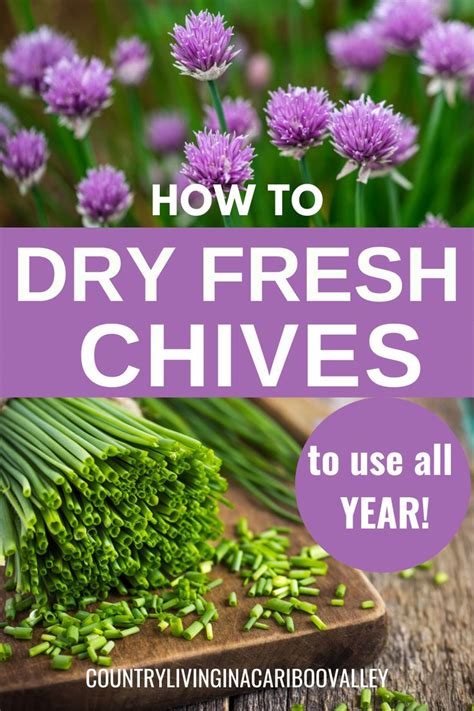 How to Dry Chives - Different Ways to Dry Fresh Herbs for Using Later in 2021 | Drying fresh ...