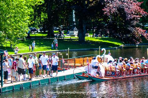 Boston Swan Boats - Top Attraction - Boston Discovery Guide