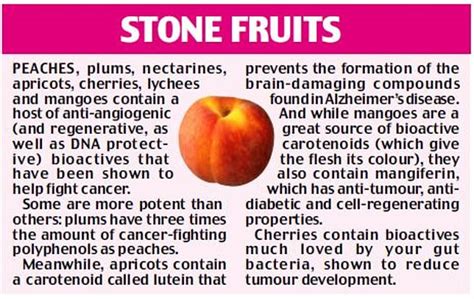 Dr William Li Cancer Fighting Foods - CancerWalls