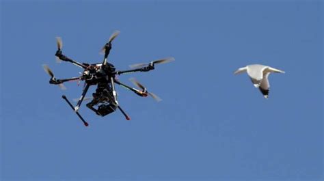 India to start drone trials for delivery of food, medicines, vaccines ...