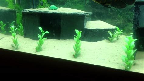 HOME MADE SLATE CAVES FOR AQUARIUM - YouTube