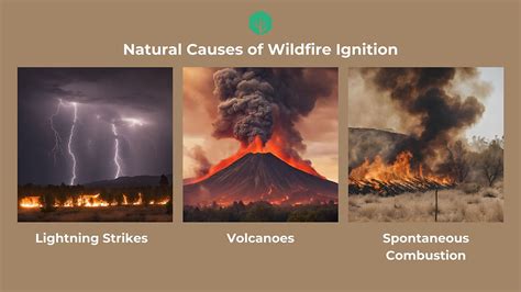 Understanding How Wildfires Start: Natural and Human Causes