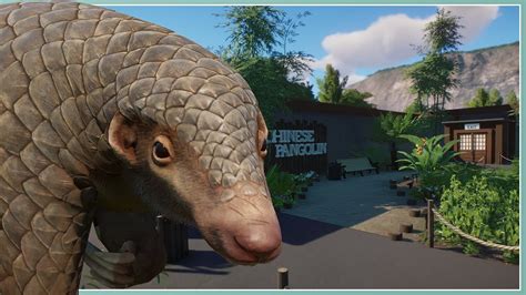 Chinese Pangolin Habitat - Sequora Zoo | Planet Zoo Speed Build - YouTube