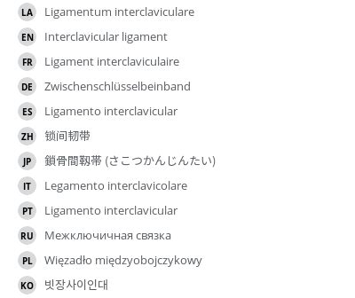 Interclavicular ligament - e-Anatomy - IMAIOS