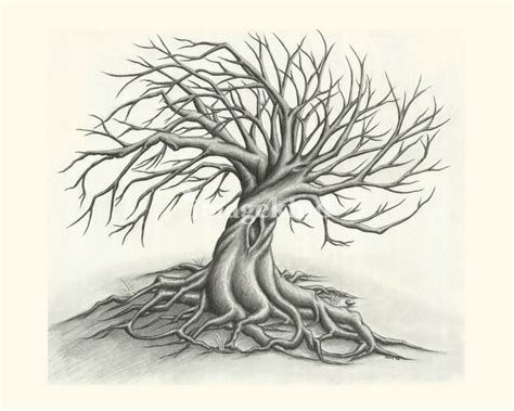 "Twisted Tree" by Sonny Bergum in 2022 | Tree drawing, Twisted tree, Tree sketches