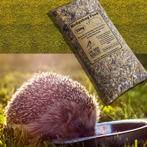 Wild Hedgehog Food 750g By The Bird Bakery | notonthehighstreet.com