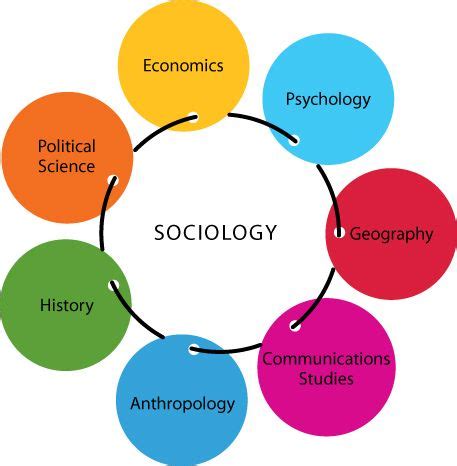 Sociology is one of the social sciences--disciplines that examine the human or social world ...