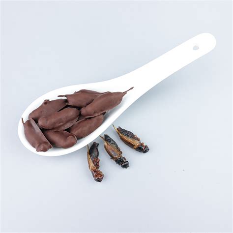 Chocolate Covered Crickets