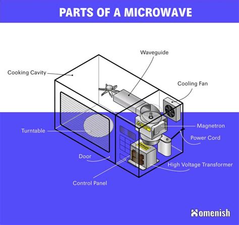 The Main Parts of a Microwave (with Diagram) - Homenish