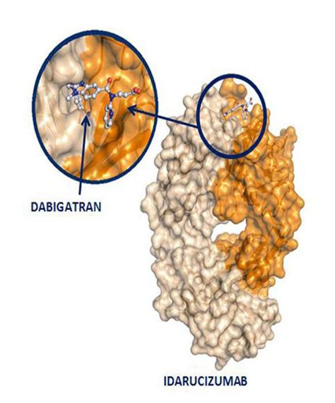 Idarucizumab – All About Drugs