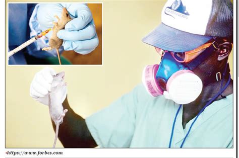 Ondo battles Lassa fever as self-medication, delayed treatment worsen cases