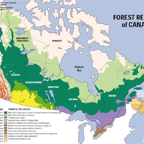 Forest regions of Canada (Natural Resources Canada 2007). | Download ...