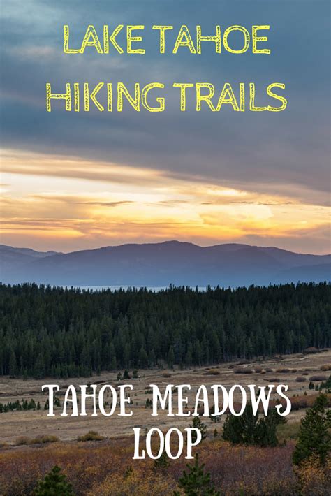 North Lake Tahoe Hiking Trails: Tahoe Meadows Interpretive Loop | Lake tahoe hiking, Tahoe ...