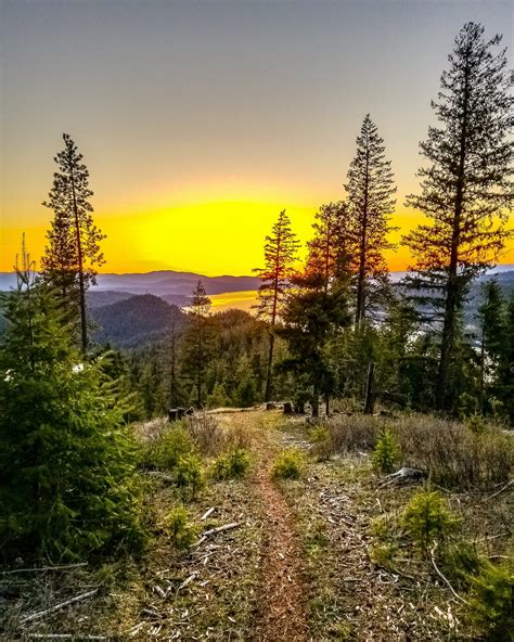 Mineral Ridge Coeur d'Alene Idaho Top 10 Hikes