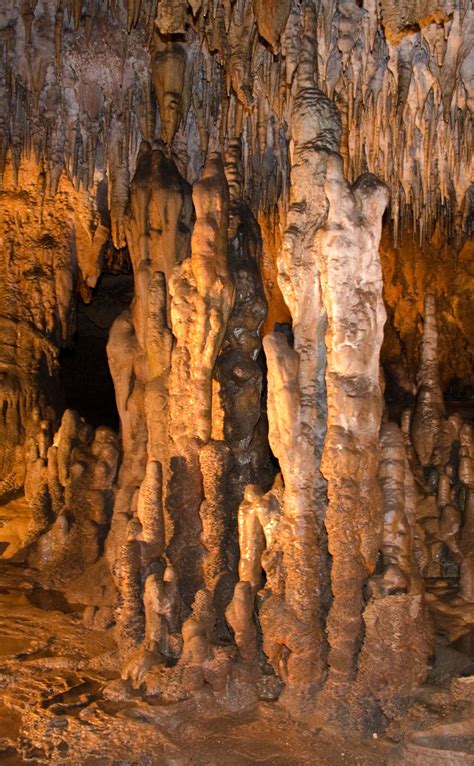 Florida Caverns State Park | Florida caverns state park, State parks, Road trip places