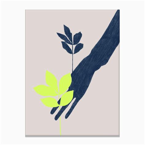 Leaf Shadow Art Print by Laura Douglas - Fy