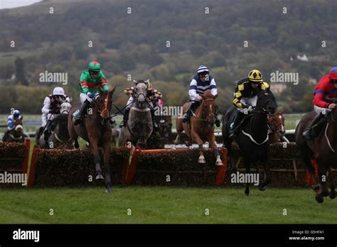 Horse Racing - Cheltenham Stock Photo - Alamy