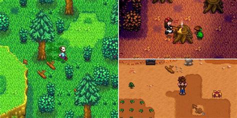 Stardew Valley: Every Crafting Material (& How To Get Them)