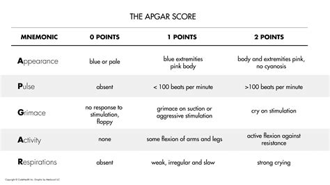 The Apgar Score | Nucleotype