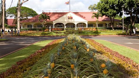 Where to find fresh pineapple (and learn its history) in Hawaii - LA Times