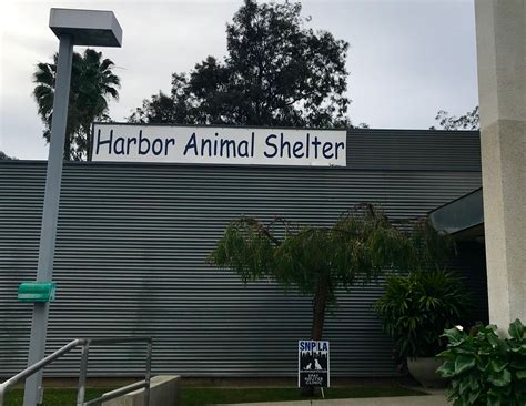 Los Angeles County - Pet Harbor Animal Shelter - Love4RAnimals