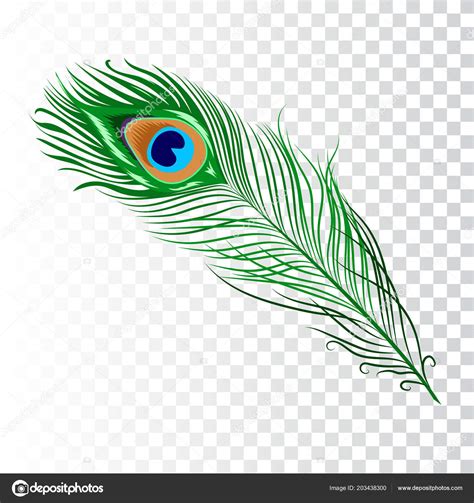 Images Of Peacock Feather - Peacock Feathers 8 Free Stock Photo | Bodegawasues