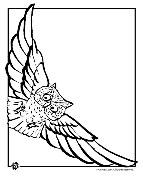 flying-owl-coloring-page | Woo! Jr. Kids Activities