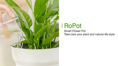 Smart Plant Pot - shotmultifiles