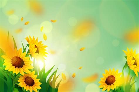 963 Background Flower Full Hd Images & Pictures - MyWeb